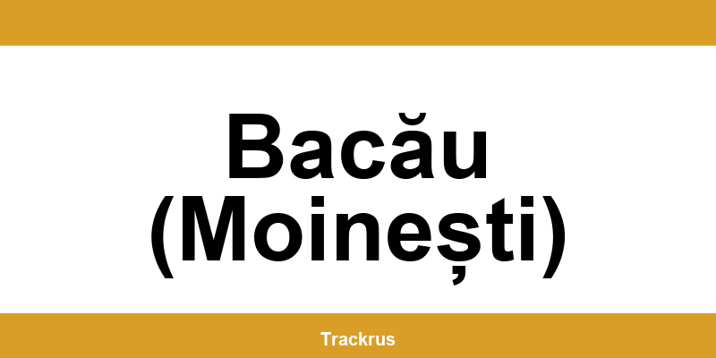 Contact rapid punctul Ship & Go Cargus din Bacău (Moinești)