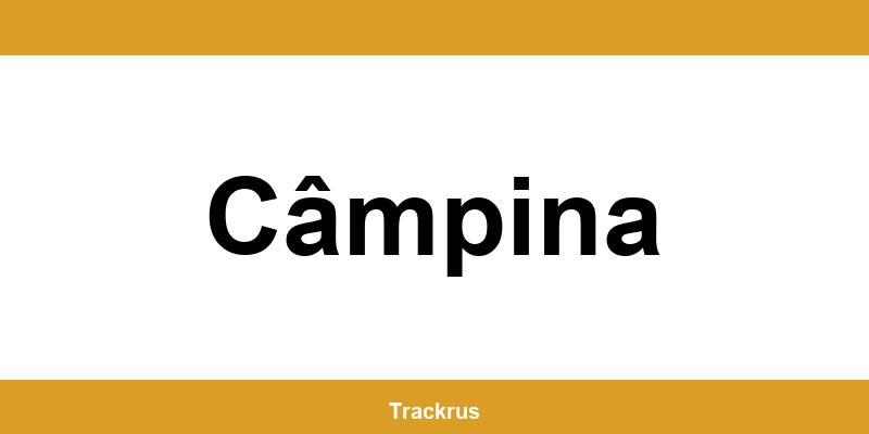 Contact rapid punctul Ship & Go Cargus din Câmpina