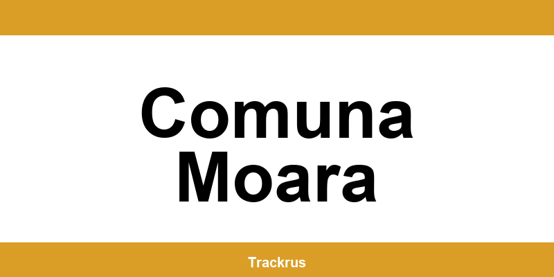 Contact rapid punctul Ship & Go Cargus din Comuna Moara